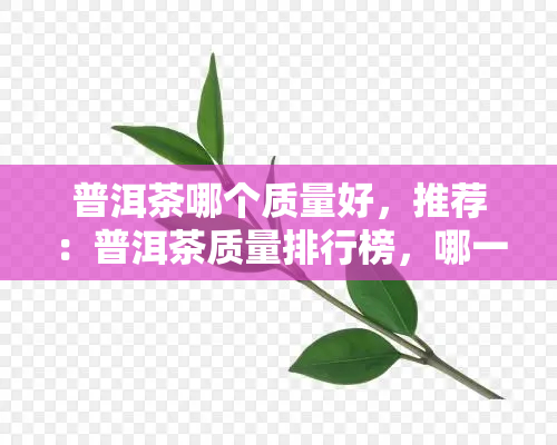 普洱茶哪个质量好，推荐：普洱茶质量排行榜，哪一款更值得购买？