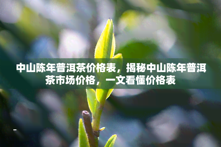 中山陈年普洱茶价格表，揭秘中山陈年普洱茶市场价格，一文看懂价格表