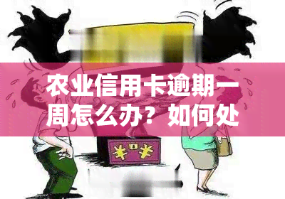 农业信用卡逾期一周怎么办？如何处理逾期问题？