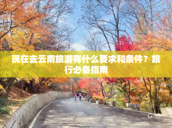 现在去云南旅游有什么要求和条件？旅行必备指南