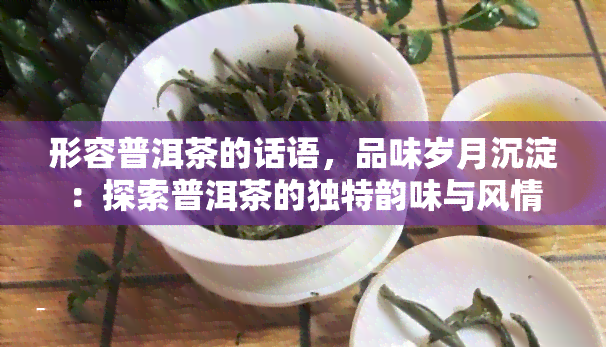 形容普洱茶的话语，品味岁月沉淀：探索普洱茶的独特韵味与风情