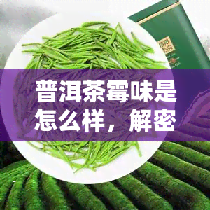 普洱茶霉味是怎么样，解密普洱茶的霉味：原因与如何辨别