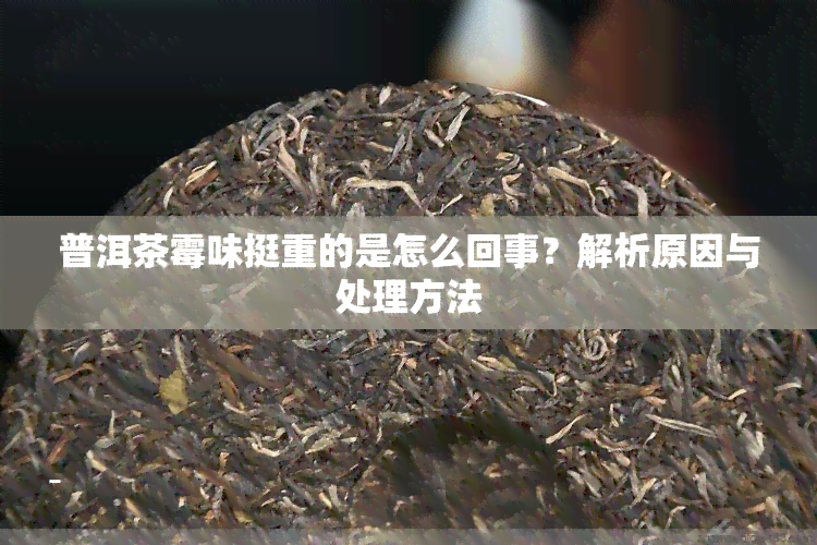 普洱茶霉味挺重的是怎么回事？解析原因与处理方法