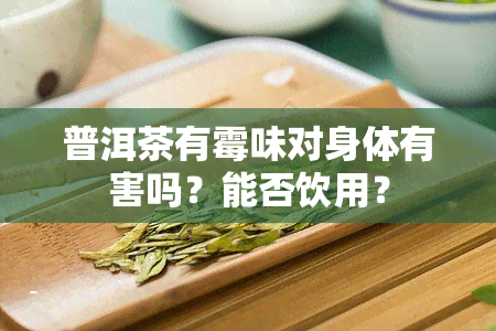 普洱茶有霉味对身体有害吗？能否饮用？