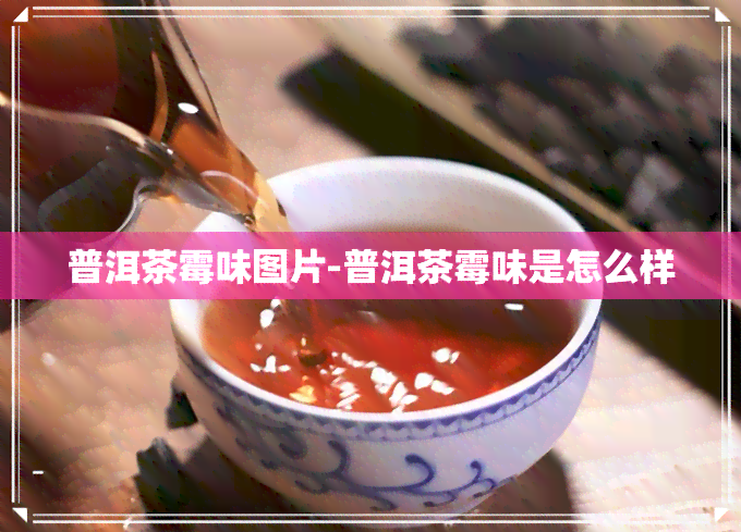 普洱茶霉味图片-普洱茶霉味是怎么样