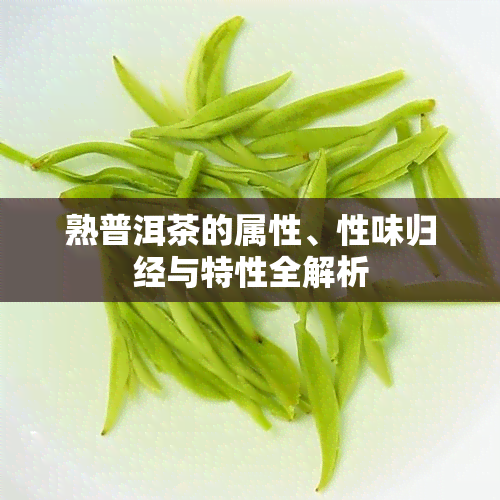 熟普洱茶的属性、性味归经与特性全解析