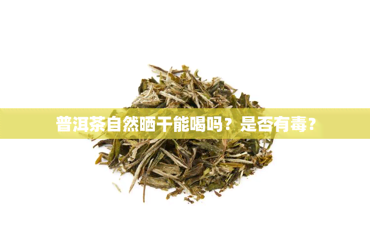 普洱茶自然晒干能喝吗？是否有？