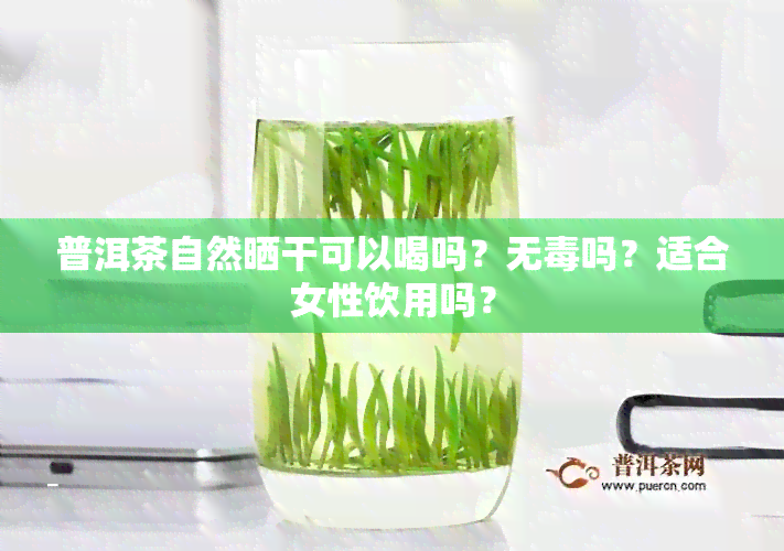 普洱茶自然晒干可以喝吗？无吗？适合女性饮用吗？