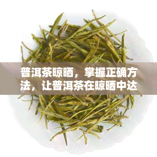 普洱茶晾晒，掌握正确方法，让普洱茶在晾晒中达到状态！