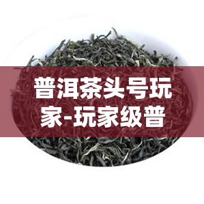 普洱茶头号玩家-玩家级普洱茶