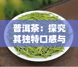 普洱茶：探究其独特口感与医疗功效