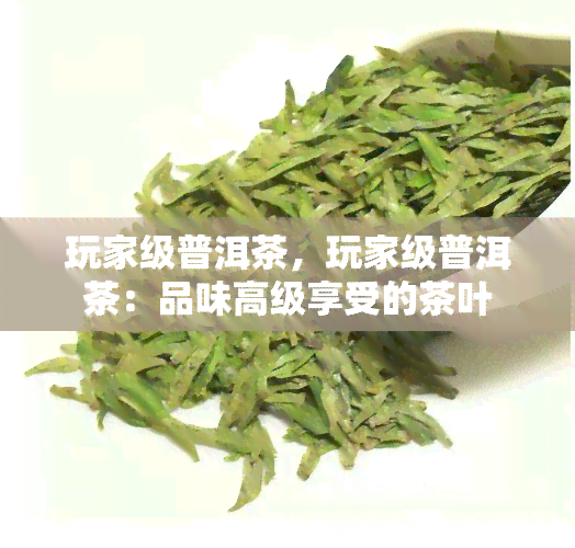 玩家级普洱茶，玩家级普洱茶：品味高级享受的茶叶