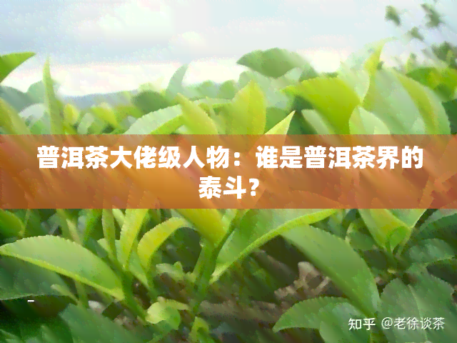 普洱茶大佬级人物：谁是普洱茶界的泰斗？