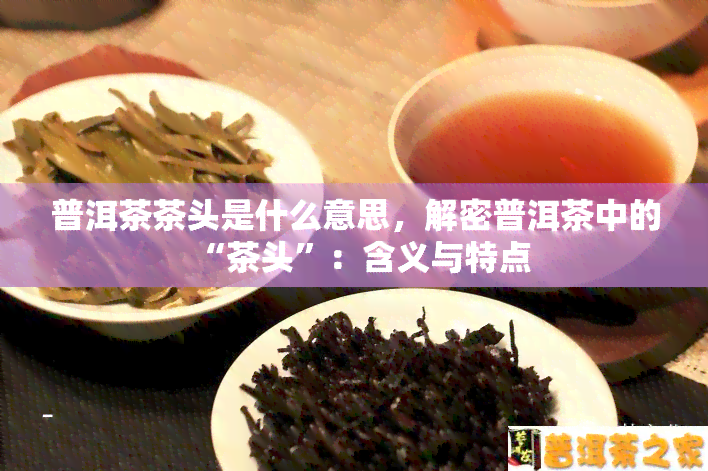 普洱茶茶头是什么意思，解密普洱茶中的“茶头”：含义与特点