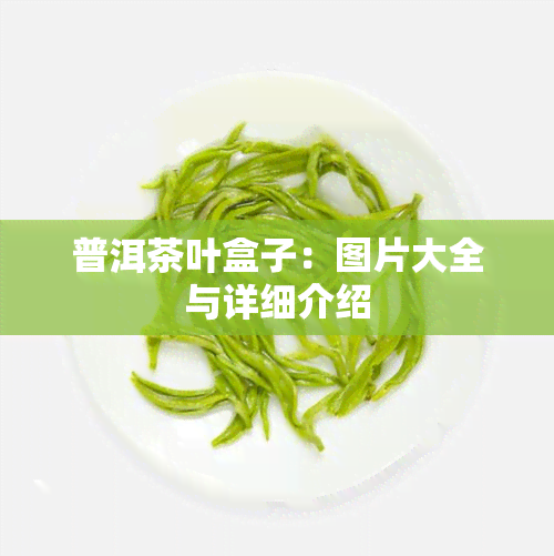 普洱茶叶盒子：图片大全与详细介绍