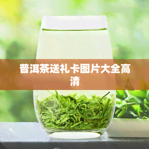 普洱茶送礼卡图片大全高清