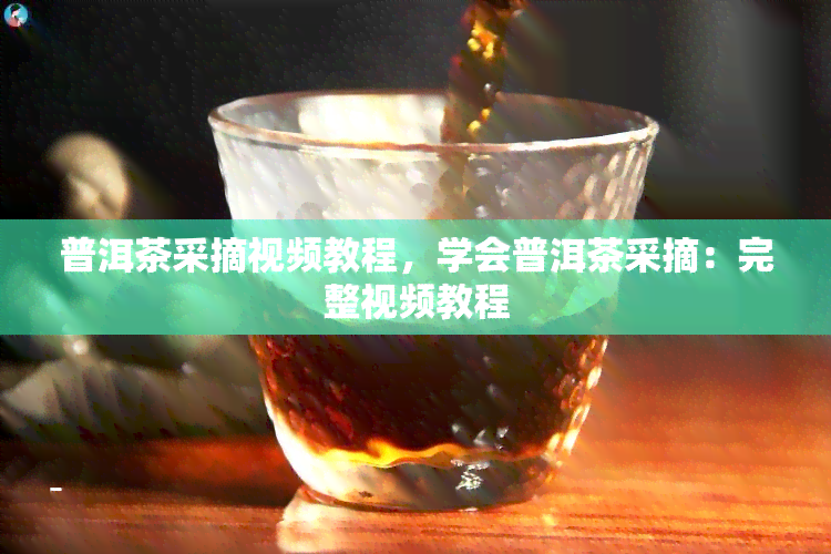 普洱茶采摘视频教程，学会普洱茶采摘：完整视频教程