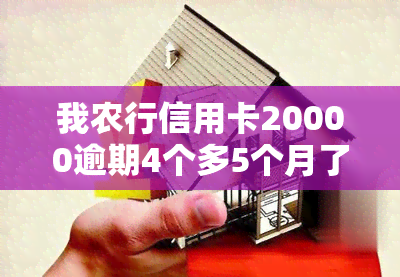 我农行信用卡20000逾期4个多5个月了，逾期4个多月！我农行信用卡欠款20000元未还