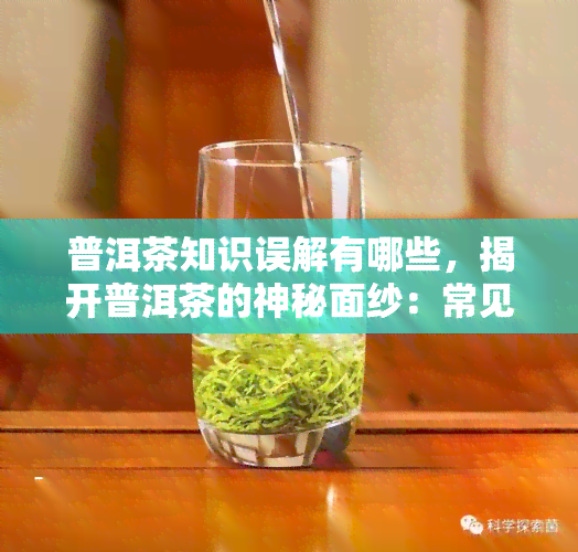 普洱茶知识误解有哪些，揭开普洱茶的神秘面纱：常见知识误解解析