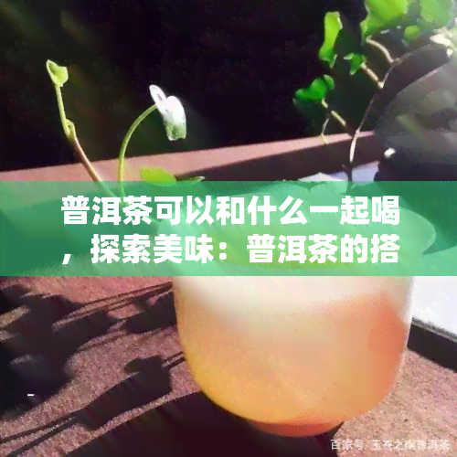 普洱茶可以和什么一起喝，探索美味：普洱茶的搭档饮品