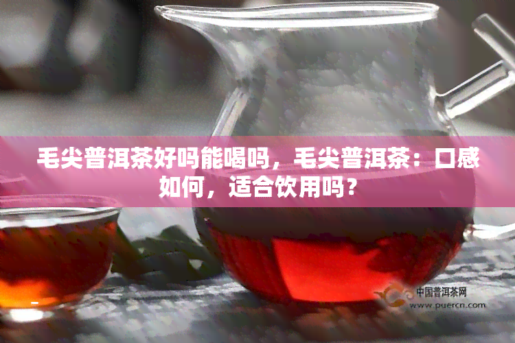 毛尖普洱茶好吗能喝吗，毛尖普洱茶：口感如何，适合饮用吗？