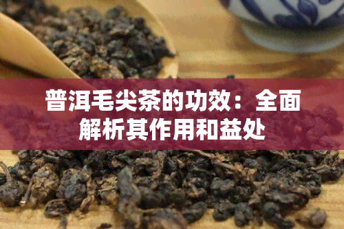 普洱毛尖茶的功效：全面解析其作用和益处