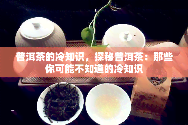 普洱茶的冷知识，探秘普洱茶：那些你可能不知道的冷知识