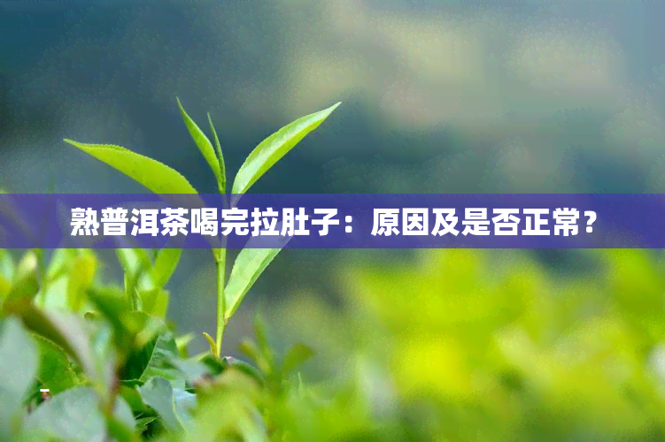 熟普洱茶喝完拉肚子：原因及是否正常？