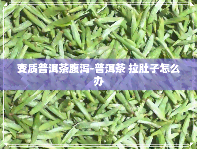 变质普洱茶腹泻-普洱茶 拉肚子怎么办