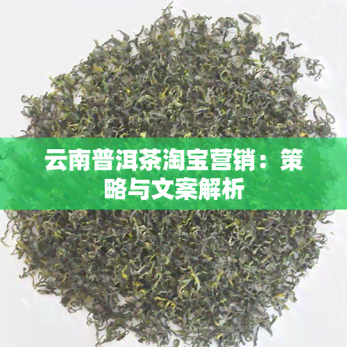 云南普洱茶淘宝营销：策略与文案解析