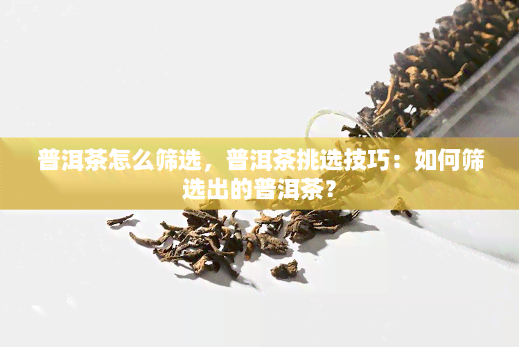 普洱茶怎么筛选，普洱茶挑选技巧：如何筛选出的普洱茶？