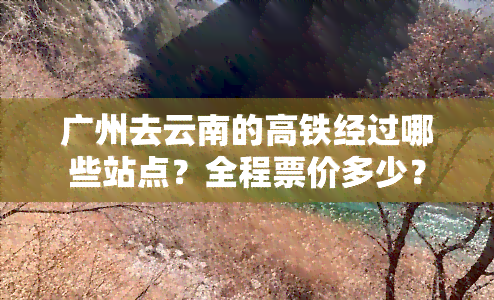 广州去云南的高铁经过哪些站点？全程票价多少？