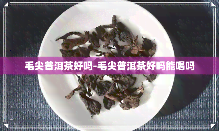 毛尖普洱茶好吗-毛尖普洱茶好吗能喝吗