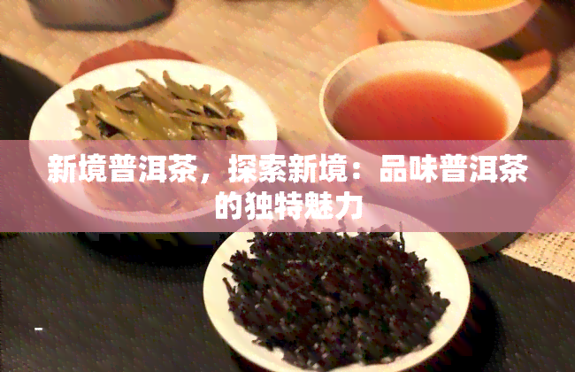 新境普洱茶，探索新境：品味普洱茶的独特魅力