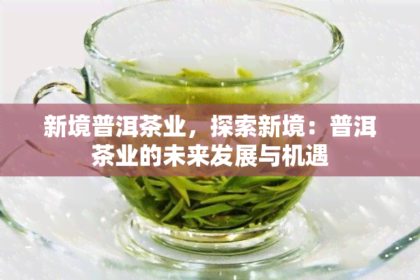 新境普洱茶业，探索新境：普洱茶业的未来发展与机遇