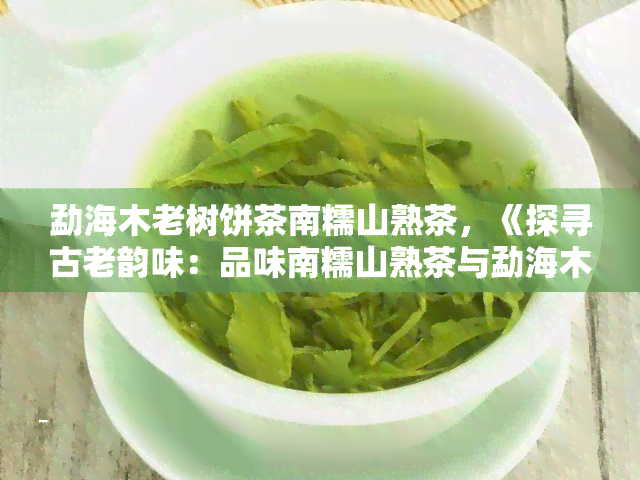 勐海木老树饼茶南糯山熟茶，《探寻古老韵味：品味南糯山熟茶与勐海木老树饼茶的魅力》