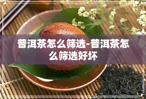 普洱茶怎么筛选-普洱茶怎么筛选好坏