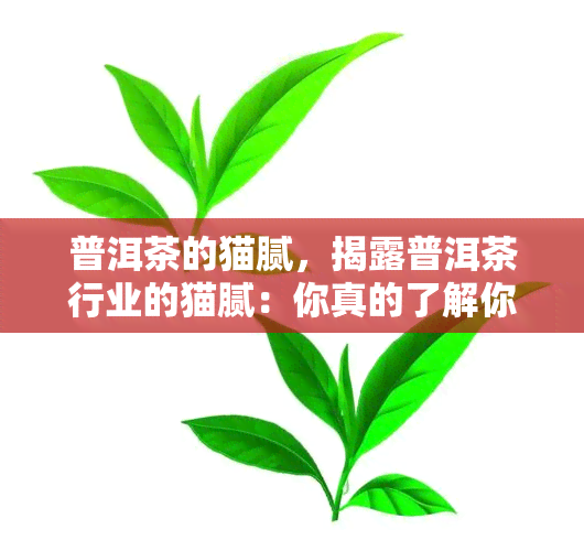 普洱茶的猫腻，揭露普洱茶行业的猫腻：你真的了解你正在购买的产品吗？