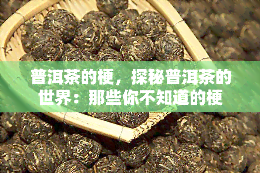 普洱茶的梗，探秘普洱茶的世界：那些你不知道的梗