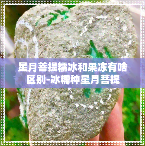 星月菩提糯冰和果冻有啥区别-冰糯种星月菩提