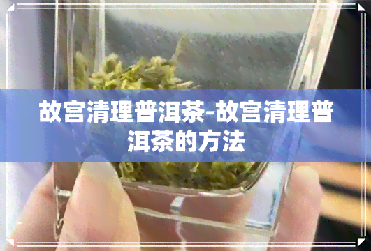 故宫清理普洱茶-故宫清理普洱茶的方法