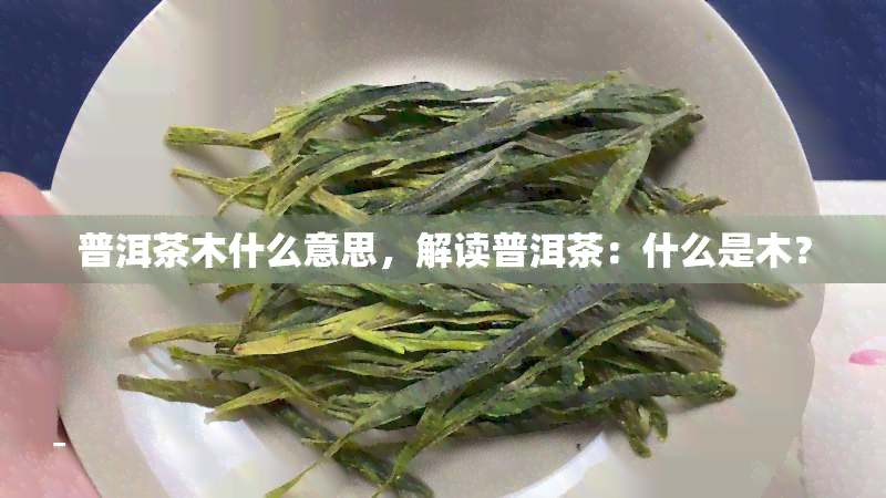 普洱茶木什么意思，解读普洱茶：什么是木？