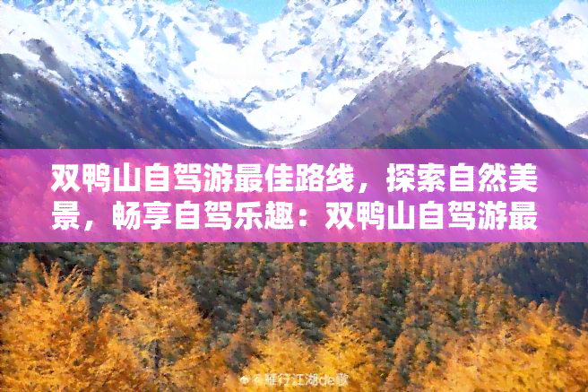 双鸭山自驾游更佳路线，探索自然美景，畅享自驾乐趣：双鸭山自驾游更佳路线推荐