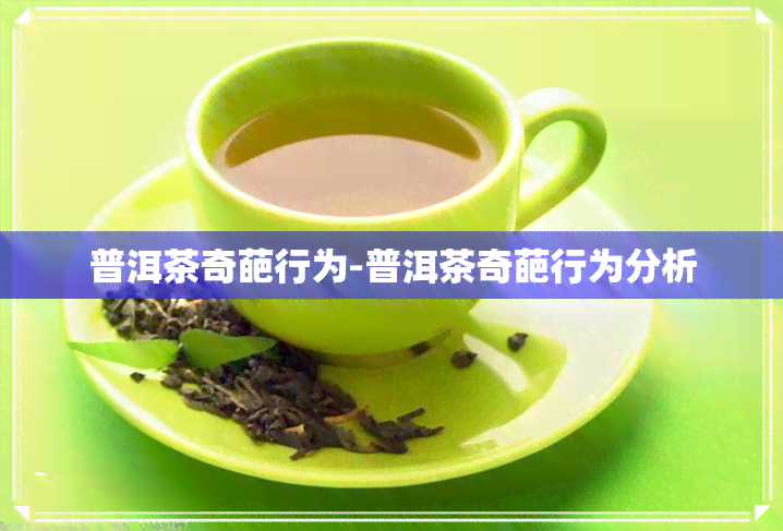 普洱茶奇葩行为-普洱茶奇葩行为分析