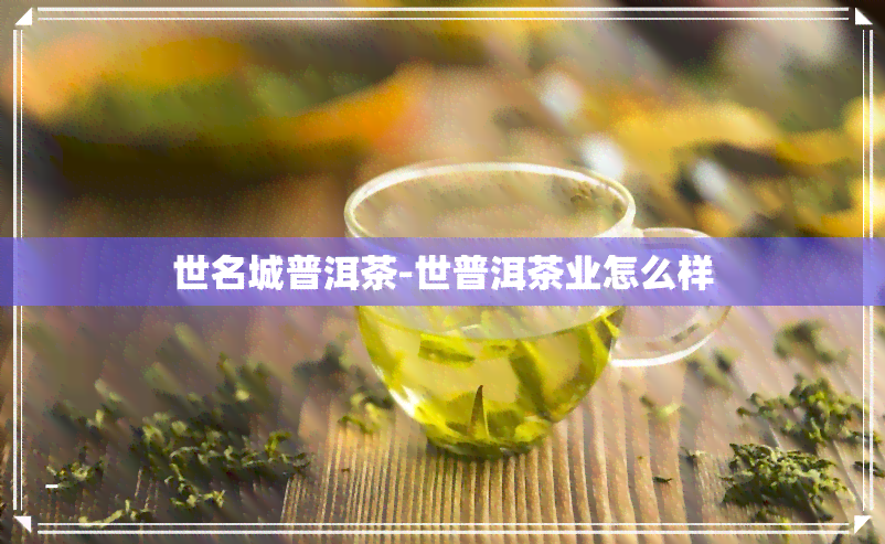 世名城普洱茶-世普洱茶业怎么样