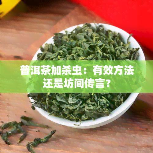 普洱茶加杀虫：有效方法还是坊间传言？