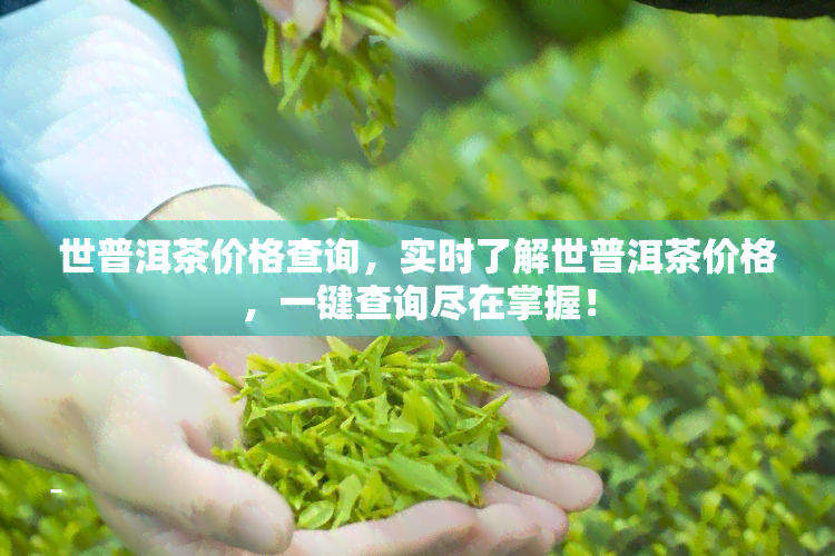 世普洱茶价格查询，实时了解世普洱茶价格，一键查询尽在掌握！