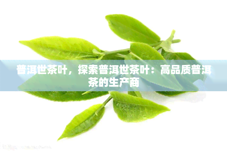 普洱世茶叶，探索普洱世茶叶：高品质普洱茶的生产商