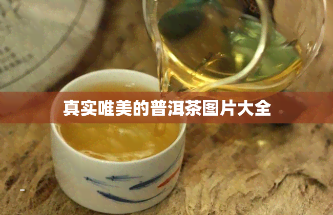 真实唯美的普洱茶图片大全