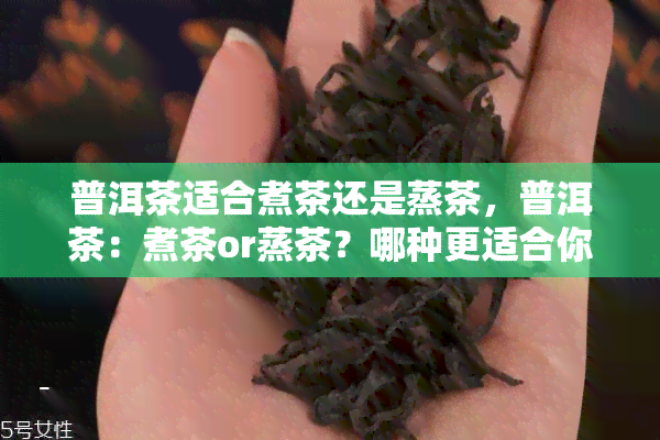 普洱茶适合煮茶还是蒸茶，普洱茶：煮茶or蒸茶？哪种更适合你？